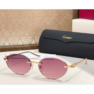 Cartier Sunglasses CT0504S-07 2025