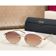 Cartier Sunglasses CT0504S-08 2025