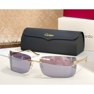 Cartier Sunglasses CT0503S-02 2025