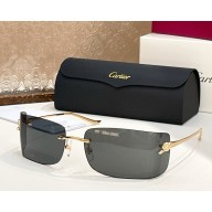 Cartier Sunglasses CT0503S-03 2025