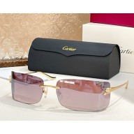 Cartier Sunglasses CT0503S-04 2025