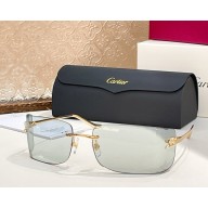 Cartier Sunglasses CT0503S-05 2025