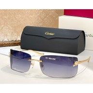 Cartier Sunglasses CT0503S-06 2025