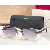 Cartier Sunglasses CT0616S-05 2025