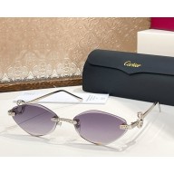 Cartier Sunglasses CT0655S-05 2025