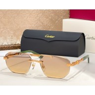 Cartier Sunglasses CT0616S-06 2025