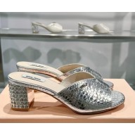 Miu Miu Croc Embossed Slide Sandals with Embellished Heel 5.5cm 5XX477 silver 2025