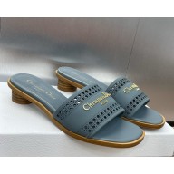 DIOR D-Lane Slide blue Calfskin with Openwork Microcannage Motif  heel 3.5cm 2025