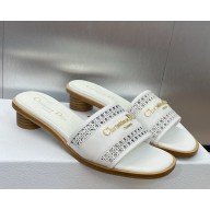 DIOR D-Lane Slide white Calfskin with Openwork Microcannage Motif  heel 3.5cm 2025