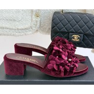 Chanel mules suede Kidskin & Strass burgundy G46231 heel 5cm 2025