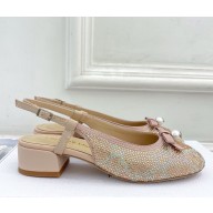 Dior Ballet Slingback Pump Lambskin with Strass light pink 2025