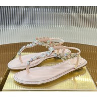 Rene Caovilla EDEN THONG SANDAL pink 2025 