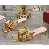Roger Vivier Leather & Raffia Jewel Slide Mules gold 2025