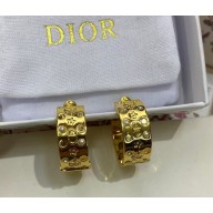 Dior Earrings 052312 2025