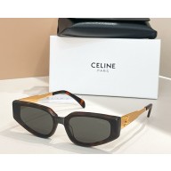 Celine Sunglasses CL42098U 06 2025
