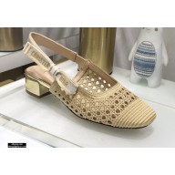 Dior Heel 3.5cm Moi Slingback Pumps Cannage Embroidered Mesh Beige 2021