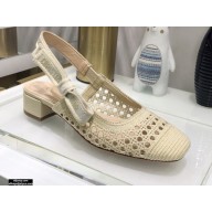 Dior Heel 3.5cm Moi Slingback Pumps Cannage Embroidered Mesh Creamy 2021