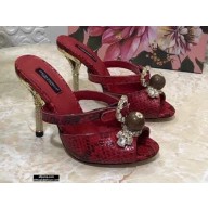 Dolce & Gabbana Crystal Heel 10.5cm Python Mules Red 2021