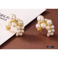 Celine Earrings C111