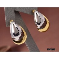 Celine Earrings C109