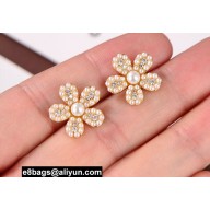Celine Earrings 45 2022