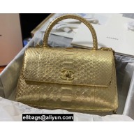 Chanel Python Coco Handle Medium Flap Bag with Top Handle 09