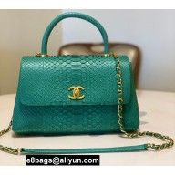 Chanel Python Coco Handle Medium Flap Bag with Top Handle 17