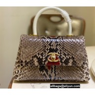 Chanel Python Coco Handle Small Flap Bag with Top Handle 08