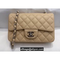 Chanel Small Classic Flap Handbag A01116 in Caviar Leather Beige/Silver