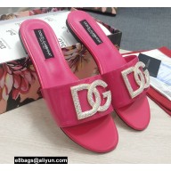 Dolce & Gabbana Calfskin Sliders Fuchsia with DG Logo 2022