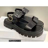 Celine CLEA TRIOMPHE SANDALs in Vegetal Calfskin Black 2022