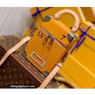 Louis Vuitton Vertical Box Trunk Bag M59666