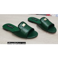 Dolce & Gabbana Iguana-print calfskin Slides Dark Green 2022