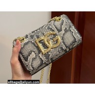 Dolce & Gabbana Calfskin 3.5 Chain phone bag Python Print