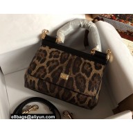 Dolce & Gabbana Small Sicily bag in Leopard-print