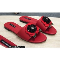Dolce & Gabbana Black Red Roses Slides Red 2022