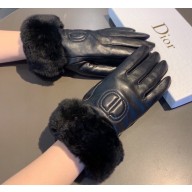 Dior Gloves D16 2022