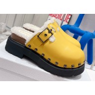 Dior Diorquake Clog in Calfskin and Shearling Yellow 2022