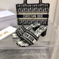 dior Black and White Check'n'Dior Embroidered Cotton dway heeled slides 2022