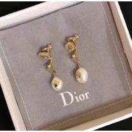 Dior Earrings 09 2018