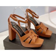 Saint Laurent Heel 10cm Platform 2cm Tribute Sandals in Smooth Leather Brown