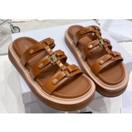 Celine Slides Tippi In Calfskin Brown 2023
