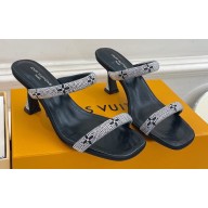 Louis Vuitton Heel 6.5cm Strass Sparkle Mules 05 2023