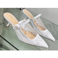 Dior Heel 6.5cm Capture Mules in Transparent Mesh Embroidered with White Saint-Gall Motif 2023