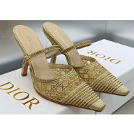 Dior Heel 9.5cm Capture Mules in Beige Transparent Mesh and Cannage Cotton Embroidered with Strass 2023