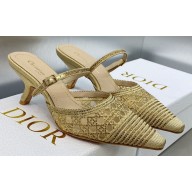 Dior Heel 6.5cm Capture Mules in Beige Transparent Mesh and Cannage Cotton Embroidered with Strass 2023