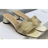 Dior Dway Heeled 4.5cm Slides in Embroidered Cotton 42 2023
