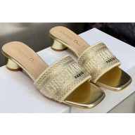 Dior Dway Heeled 4.5cm Slides in Embroidered Cotton 37 2023