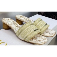 Dior Dway Heeled 4.5cm Slides in Embroidered Cotton 28 2023