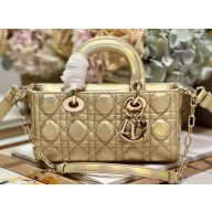 Dior Small Lady D-Joy Bag in Iridescent and Cannage Lambskin Gold